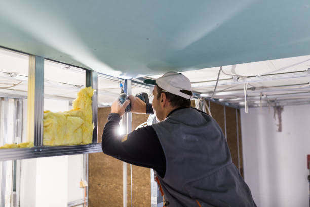 Best Blown-in Insulation  in Spring Park, MN