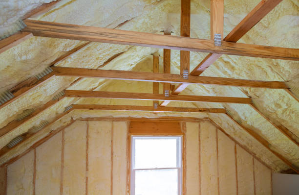 Best Residential Insulation Services  in Spring Park, MN