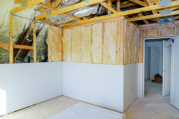 Best Attic Insulation Installation  in Spring Park, MN