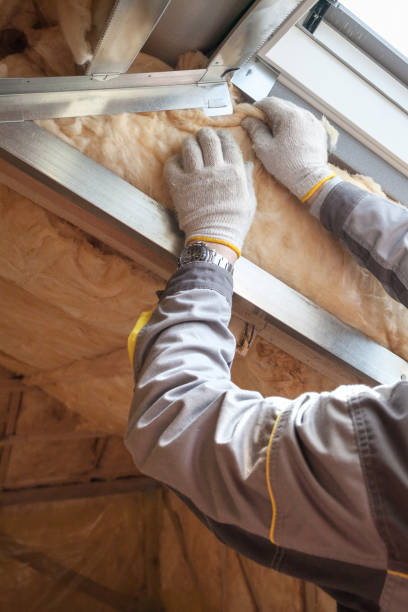 Best Best Insulation Companies  in Spring Park, MN