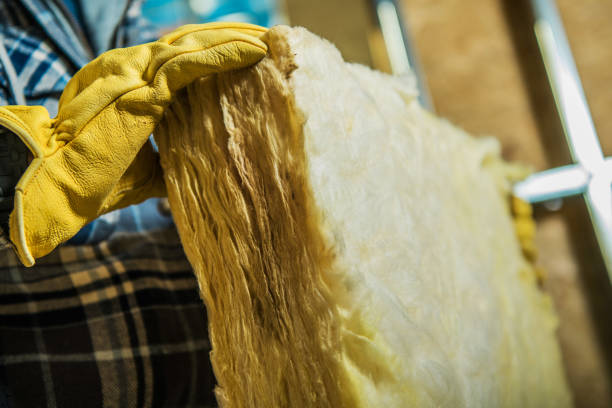 Best Insulation Contractor Near Me  in Spring Park, MN