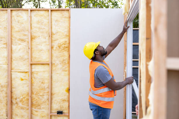 Best Spray Foam Insulation  in Spring Park, MN