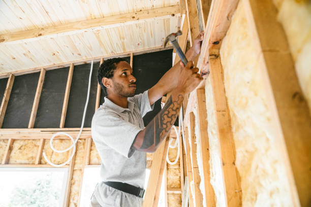 Best Local Insulation Services  in Spring Park, MN