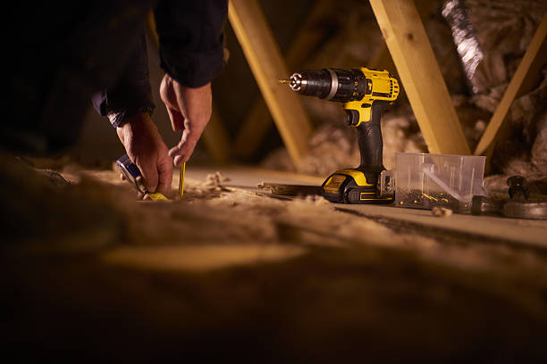 Best Insulation Contractors for Homes  in Spring Park, MN